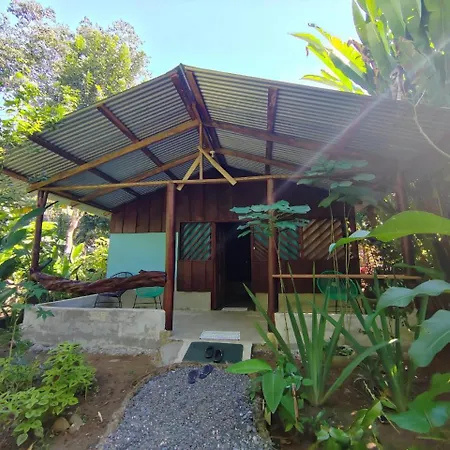 Los Paniquines Ecolodge Drake Bay Exterior photo