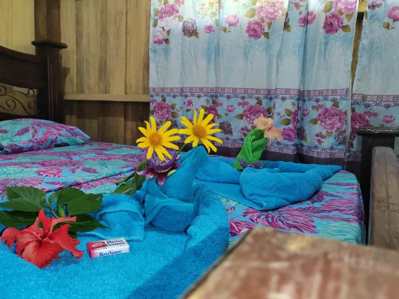 Apartment Paniquines Drake Bay